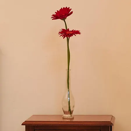 Novecento Πανσιόν 3*